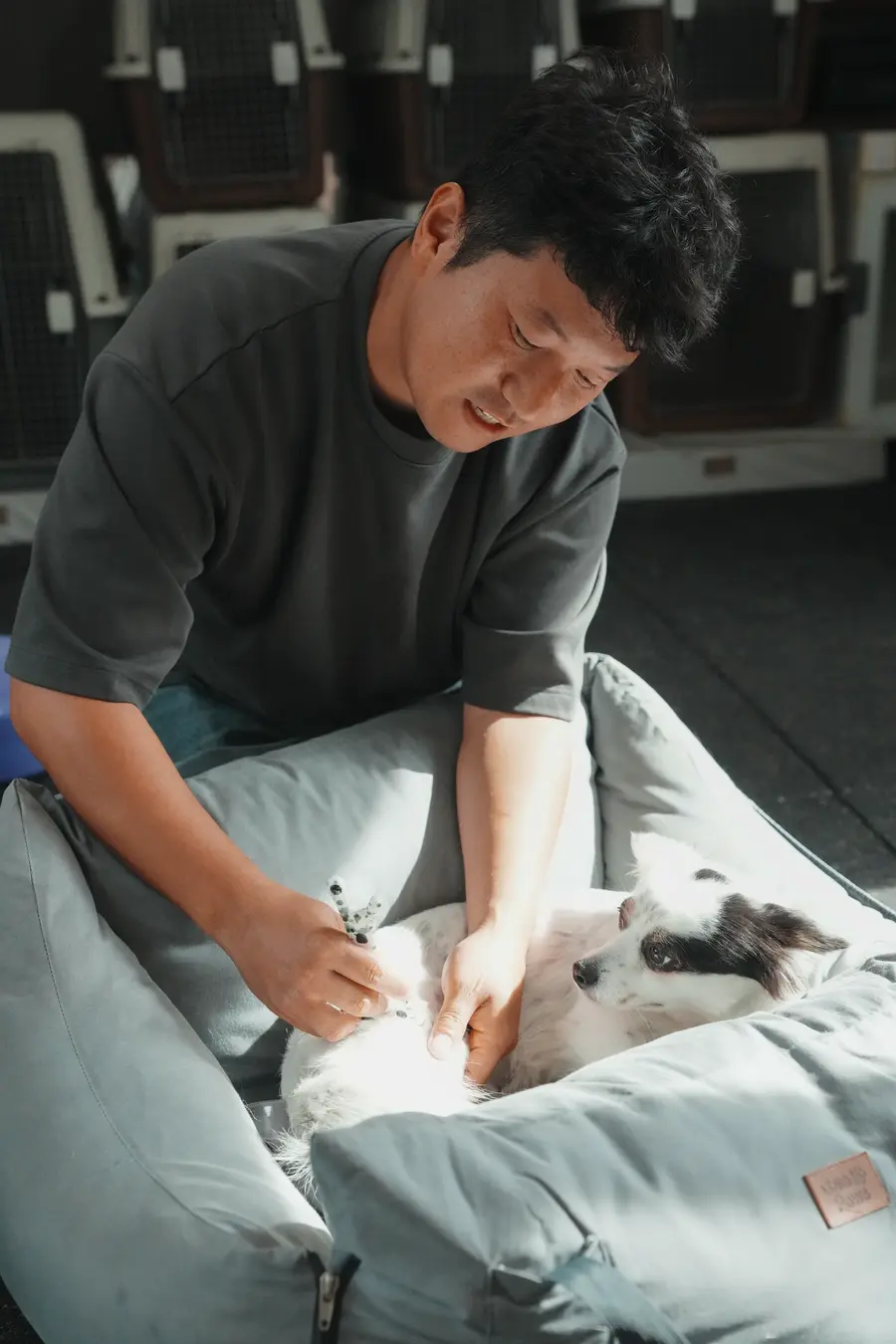 회색 쿠션 위에 누운 흰색 반려견의 몸을 한 손으로 짚고 다른 손에 간식을 든 훈련사